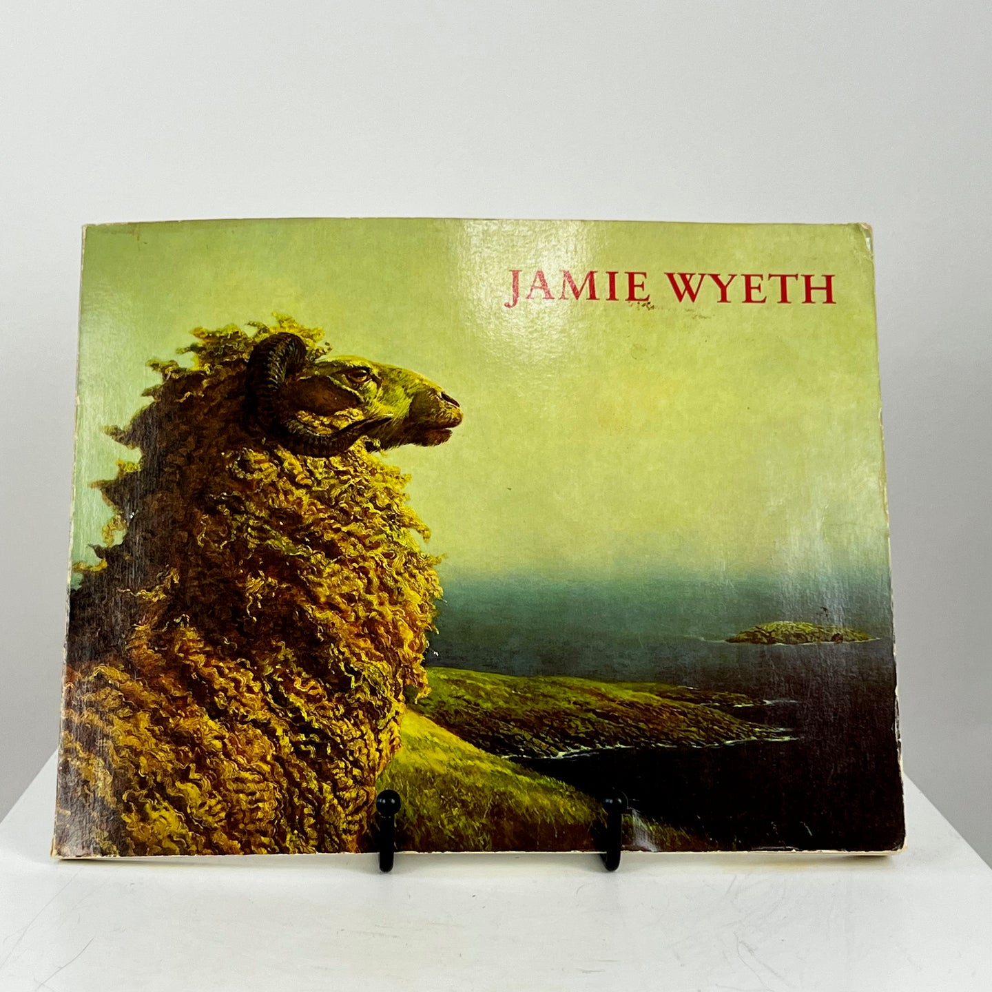 Jamie Wyeth Paperback 