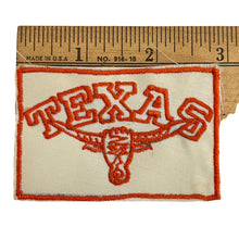 Load image into Gallery viewer,  Vintage Texas Bull Long Horn Skull Souvenir Sew On Embroidered Patch Badge 
