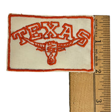 Load image into Gallery viewer,  Vintage Texas Bull Long Horn Skull Souvenir Sew On Embroidered Patch Badge 
