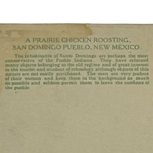 Load image into Gallery viewer, Antique A Prairie Chicken Roosting San Domingo Pueblo New Mexico Post Cards
