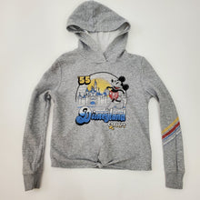 Load image into Gallery viewer, Disney Women&#39;s Hoodie - Mickey And Cinderella Castle Pullover Hoodie Small
