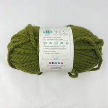 Load image into Gallery viewer, Lion Brand 640-178 Wool-Ease Thick &amp; Quick Yarn-Cilantro
