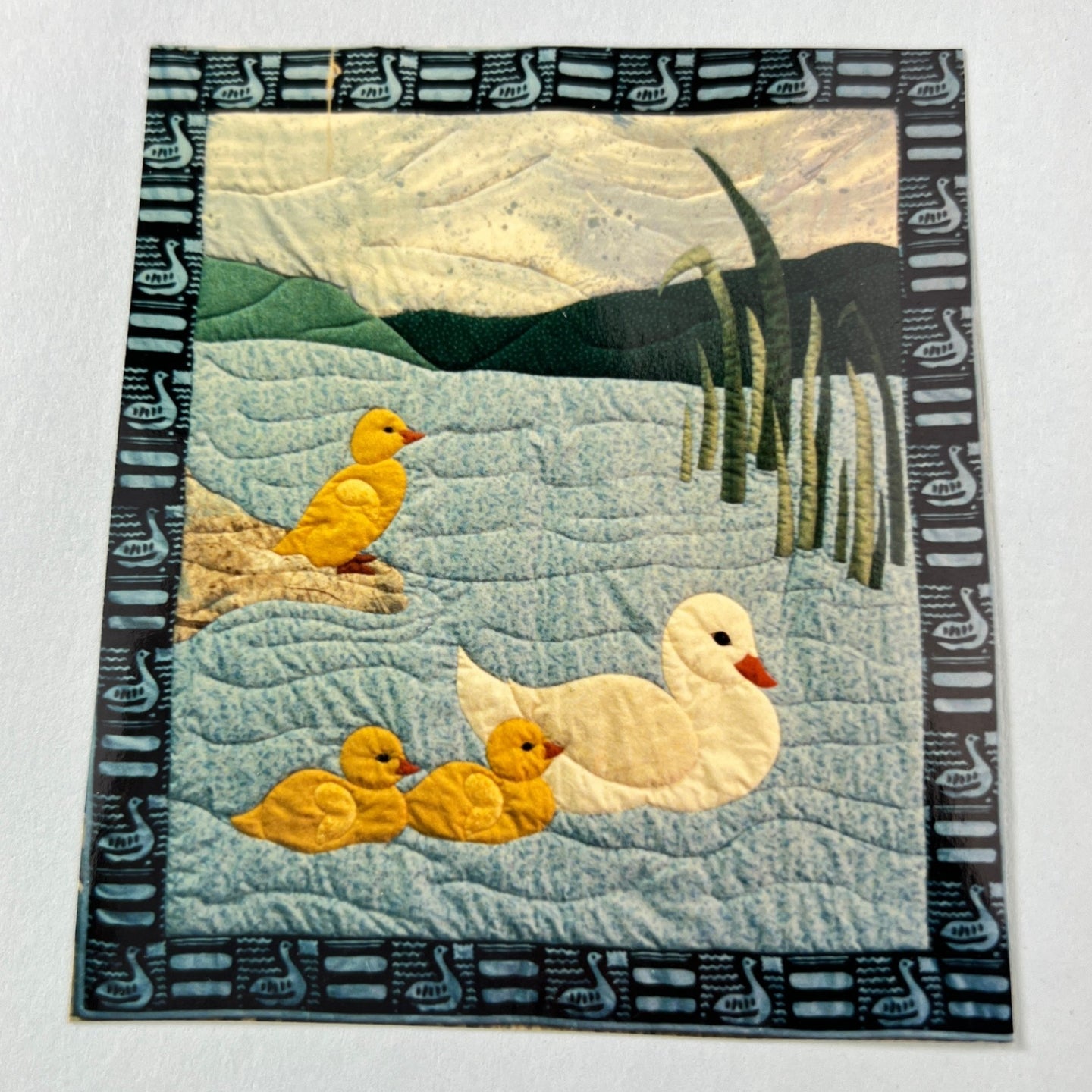 Patricia Cox Ducks Out For a Swim Quilting Pattern 58 x 58